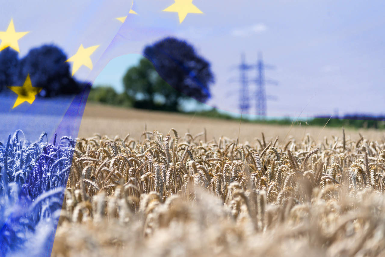 Flagge der Europäischen Union EU und die Landwirtschaft in Europa Flagge der Europäischen Union EU und die Landwirtschaft in Europa